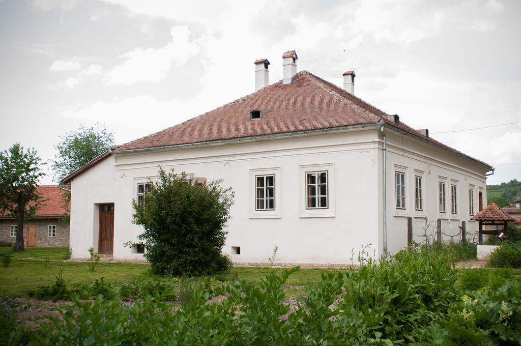Transylvania Guesthouses Cincsor Ngoại thất bức ảnh