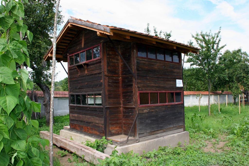 Transylvania Guesthouses Cincsor Ngoại thất bức ảnh