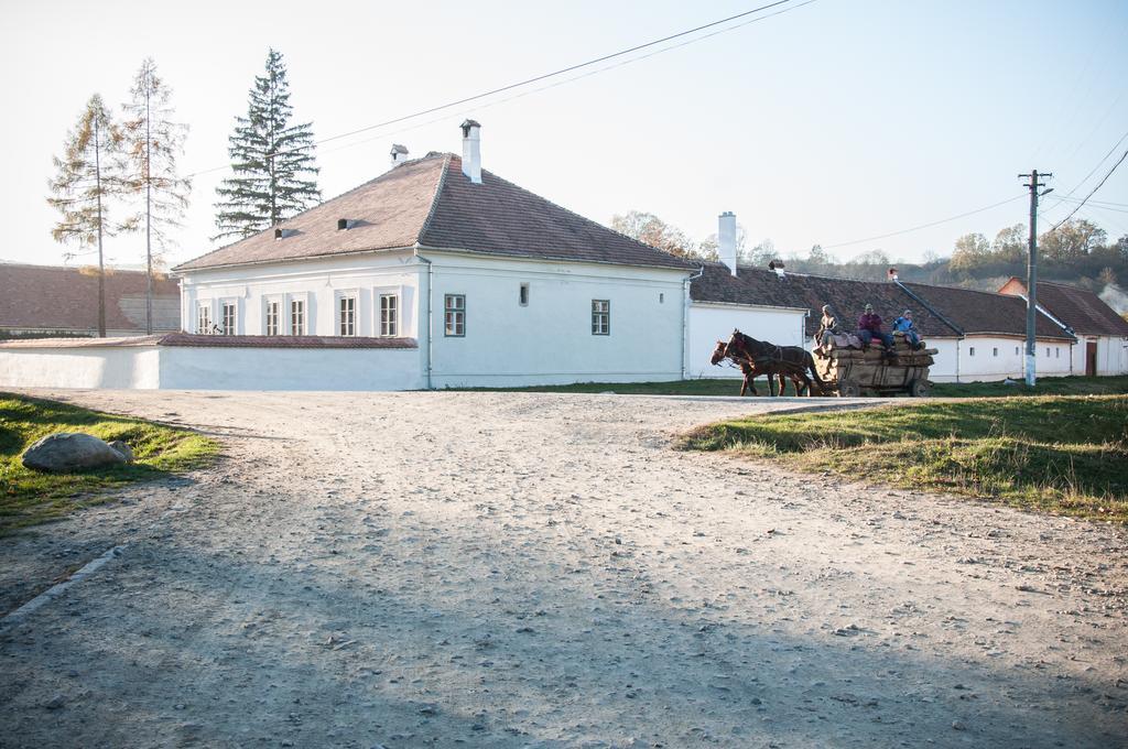 Transylvania Guesthouses Cincsor Ngoại thất bức ảnh